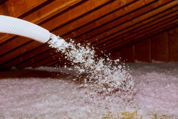 Insulation Repair Services in Pinellas Park, FL