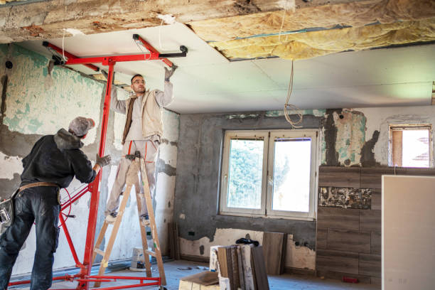 Insulation Replacement Services in Pinellas Park, FL