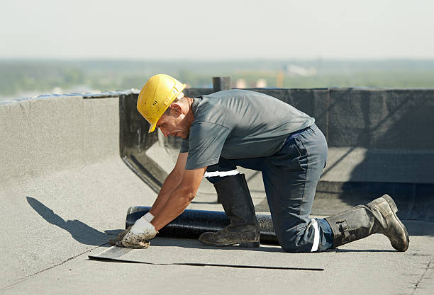  Pinellas Park, FL Insulation Contractor Pros